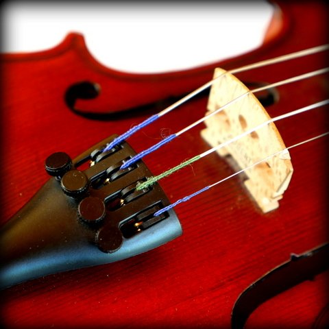 Violin Prep Course Adult (age 12yrs+)